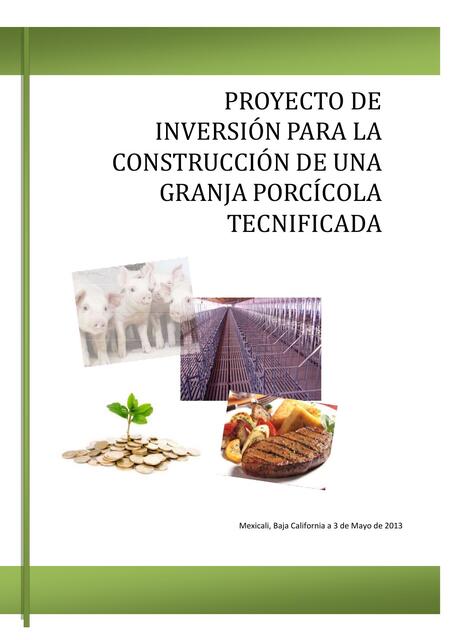 Proyecto de Inversion Para La Construcci