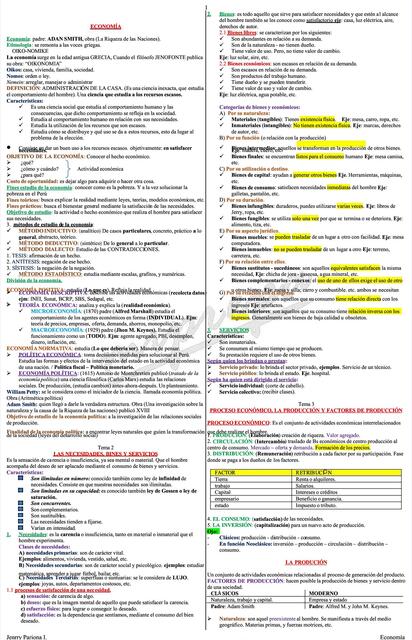 pdf resumen del curso de economia preuniversitario