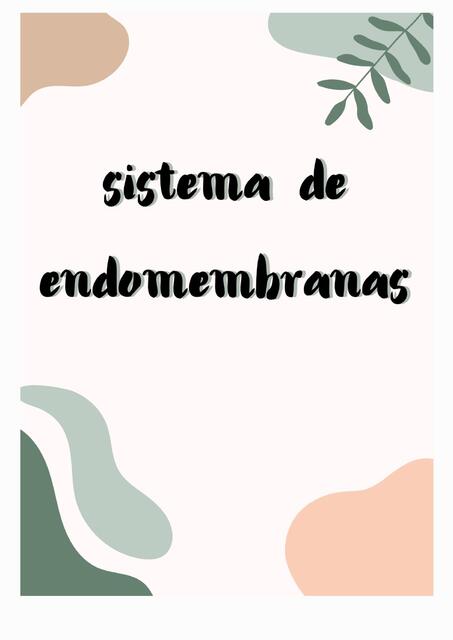 Endomembranas