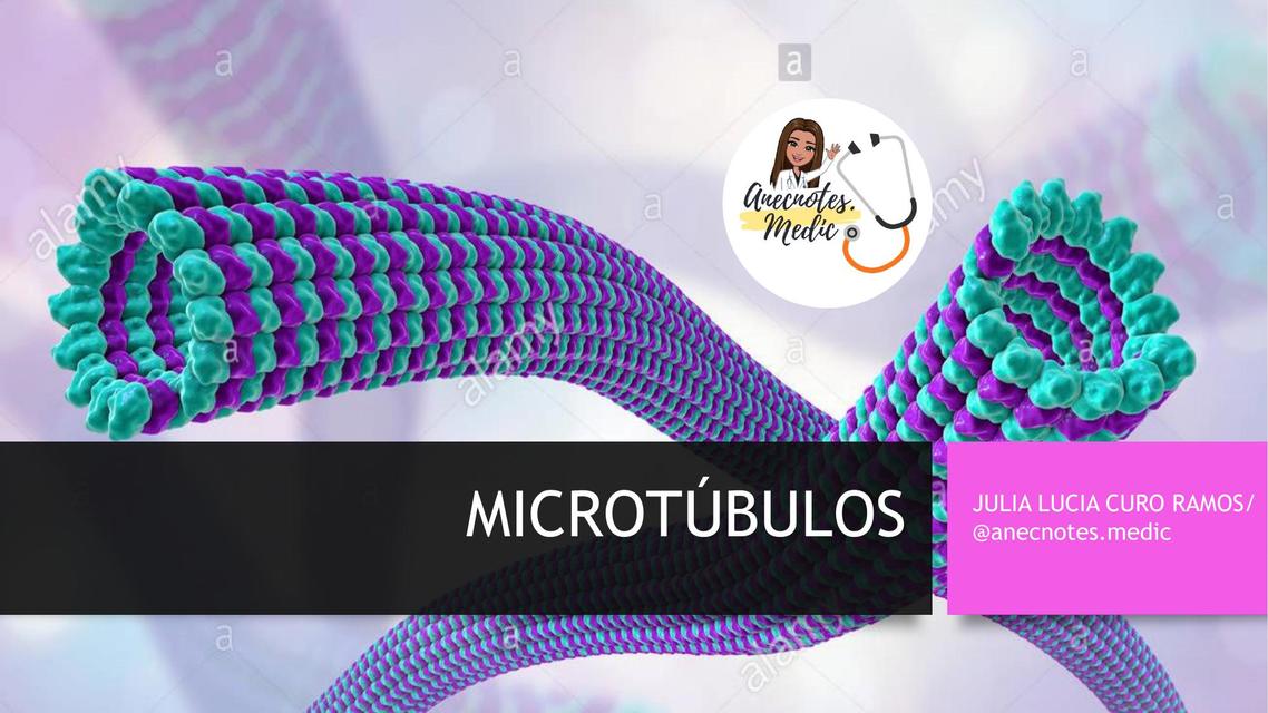 que son los microtúbulos