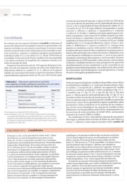 Candidiasis Murray