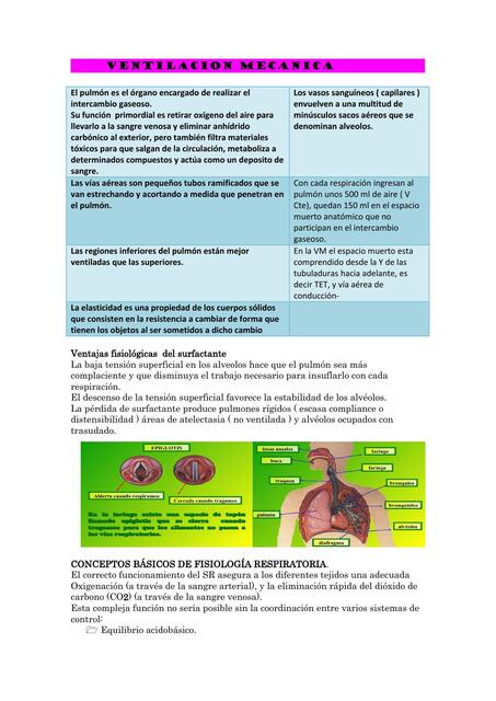 VENTILACION MECANICA