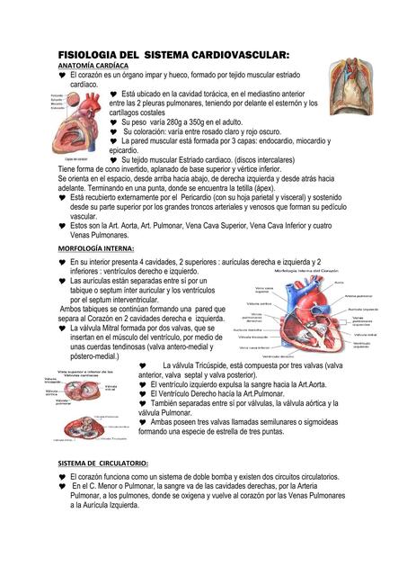 FISIOLOGIA DEL SISTEMA CARDIOVASCULAR