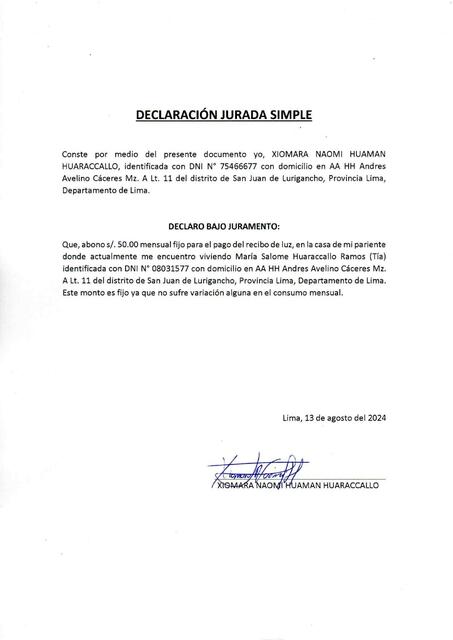 SERVICIO DE LUZ documento guía