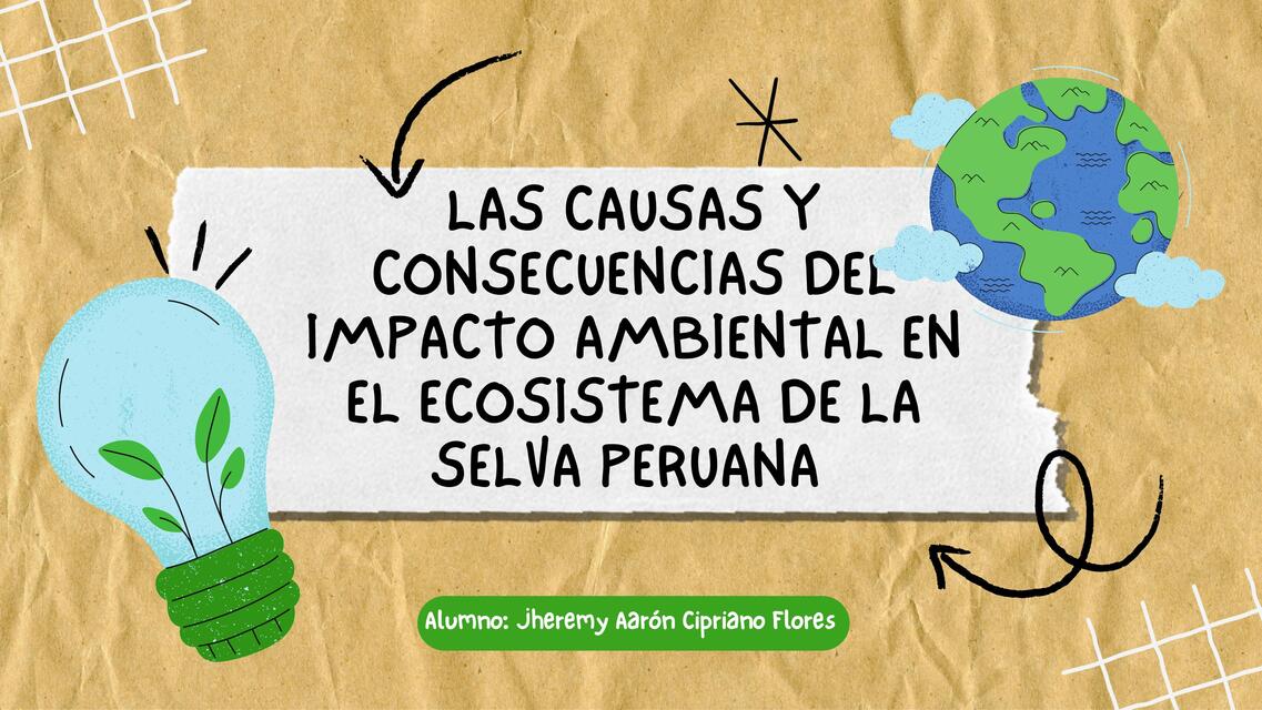 Las causas y consecuencias del impacto ambiental en el ecosistema de la selva peruana 