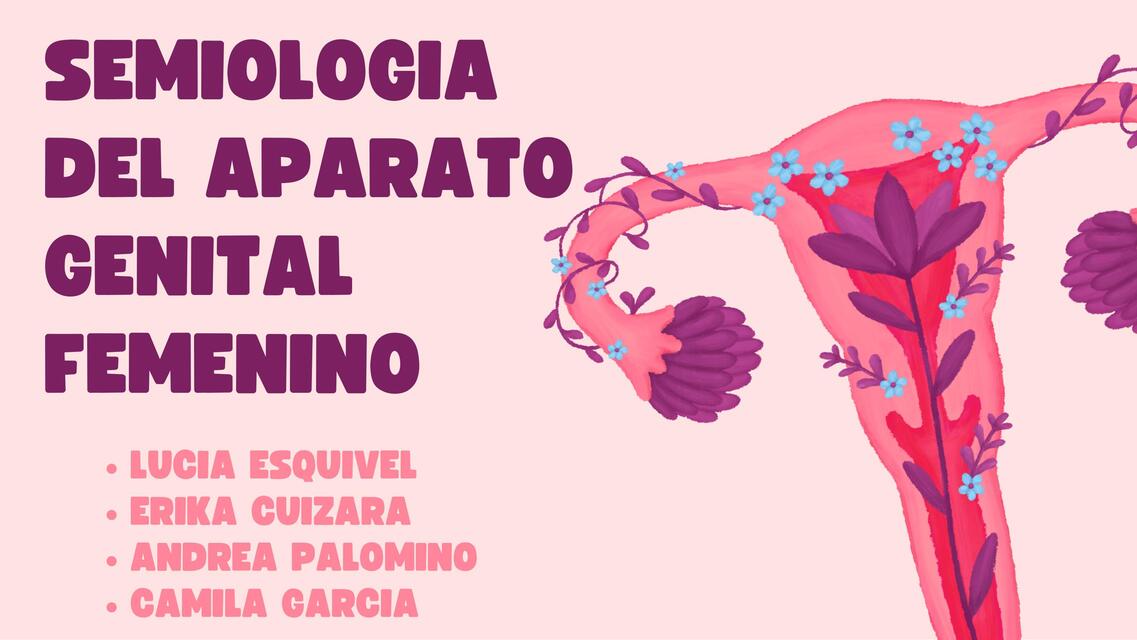 aparato genital femenino