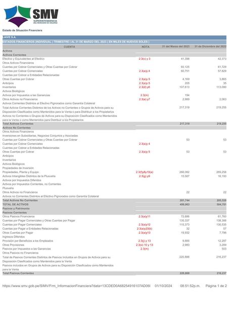 Reporte Detalle de Información Financiera LAIVE