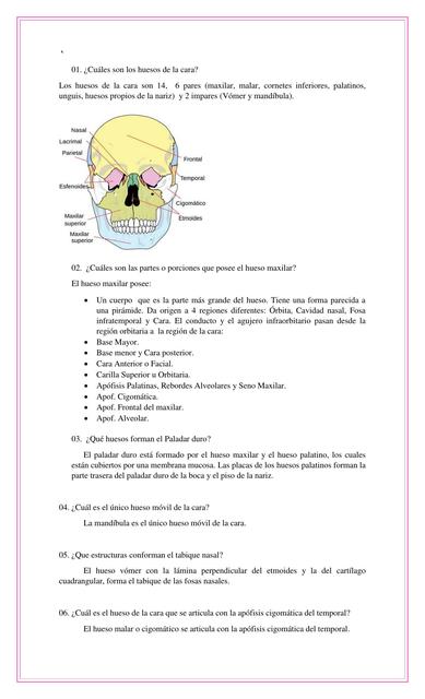 Cuestionario de Huesos de la cara