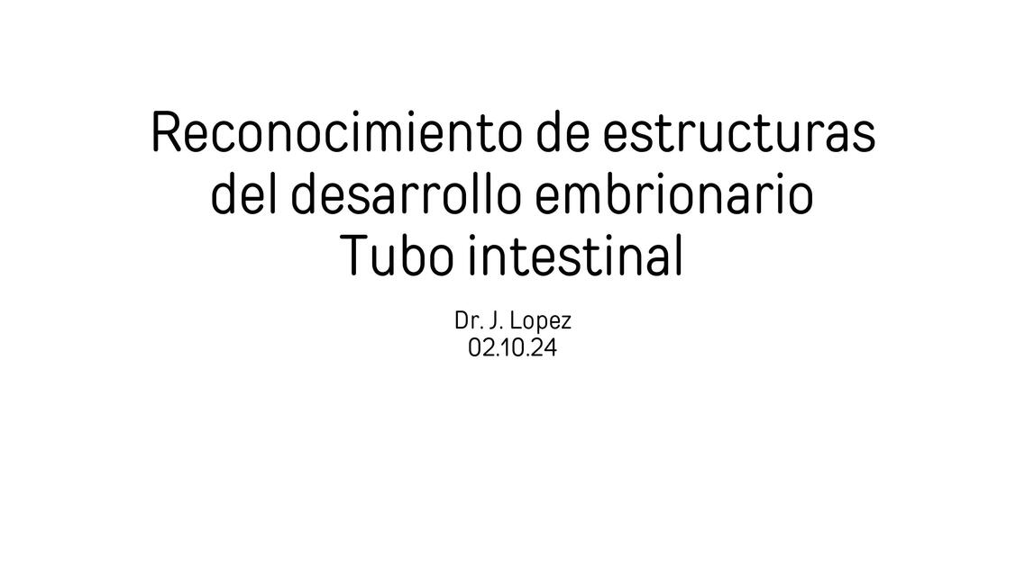 Reconocimiento de estructuras del desarrollo embrionario tubo instetinal