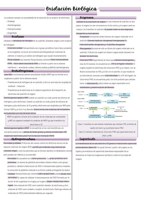 Oxidación Biológica