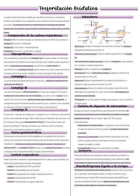 Fosforilación Oxidativa