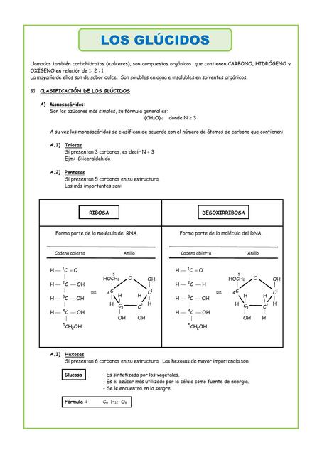 Los Glúcidos para Cuarto de Secundaria