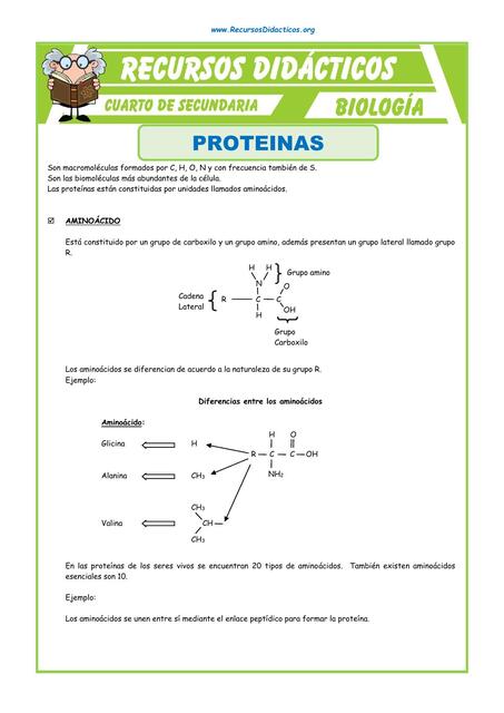 Las Proteinas para Cuarto de Secundaria