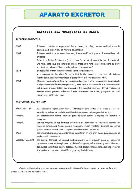 El Aparato Excretor para Tercero de Secundaria