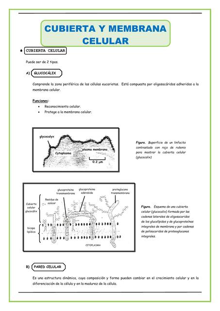 Cubierta y Membrana Celular para Cuarto de Secunda