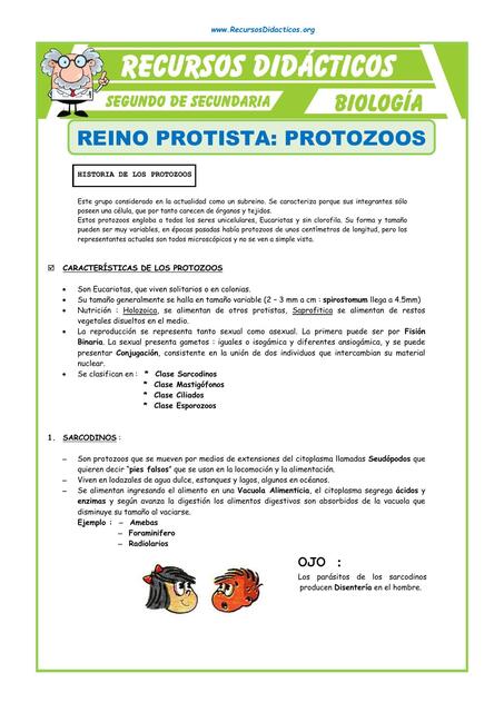 El Reino Protista Protozoos para Segundo de Secundaria