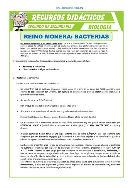 El Reino Monera Bacterias para Segundo de Secundaria