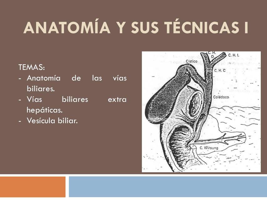 Vias biliares generalidades