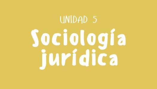 Sociología Jurídica || UNIDAD 5