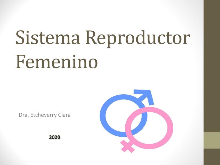 Sistema Reproductor Femenino