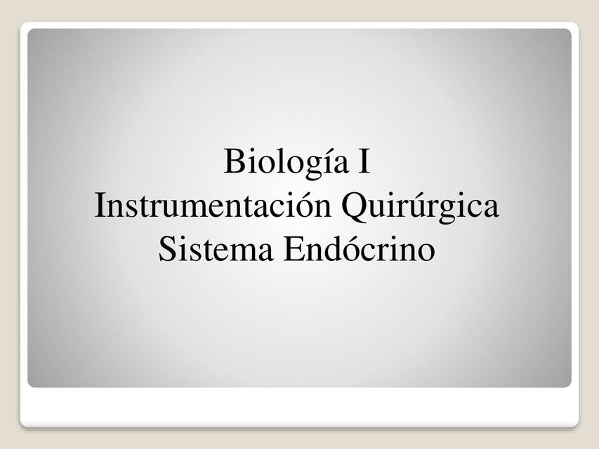 Sistema Endocrino