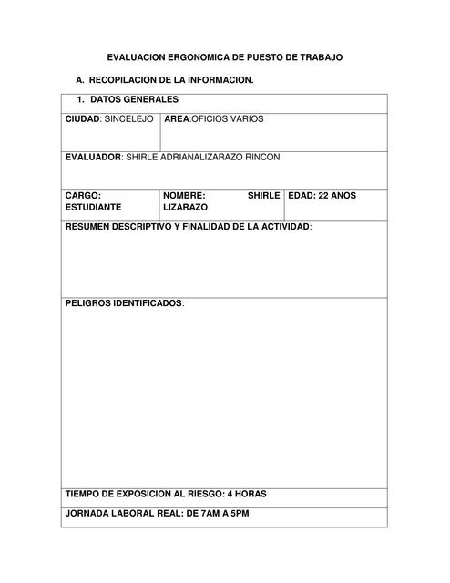 Evaluación Ergonómica de Puesto de Trabajo 