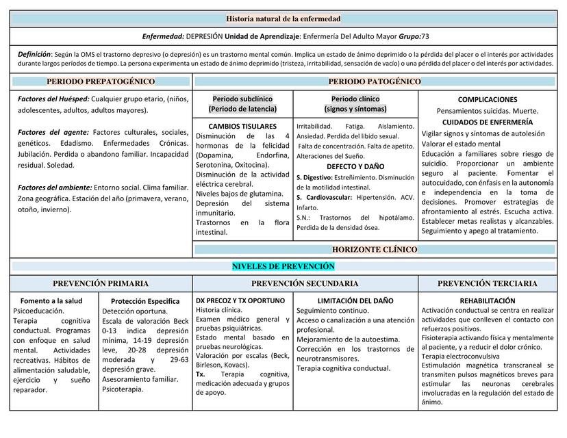 Historia Natural de la Enfermedad DEPRESION