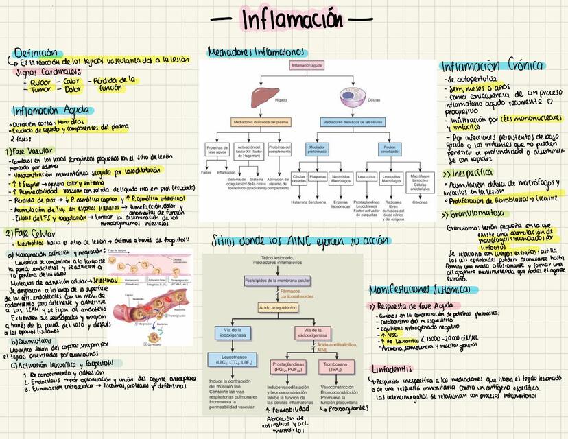 Inflamación