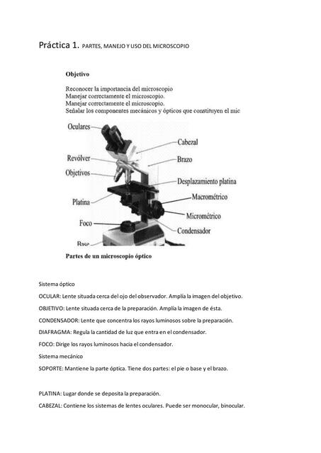 practica de ecosistemas1 Copia