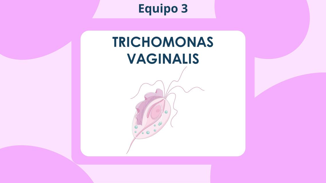 trichomonasvaginalis equipo3