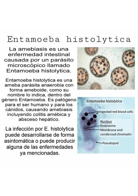 parasitología