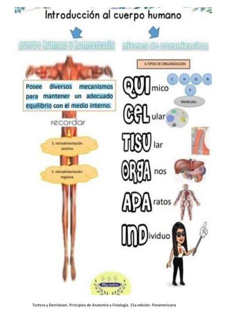 Introducción al cuerpo humano