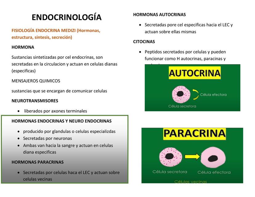 ENDOCRINOLOGÍA Generalidades RESUMEN MEDIZI