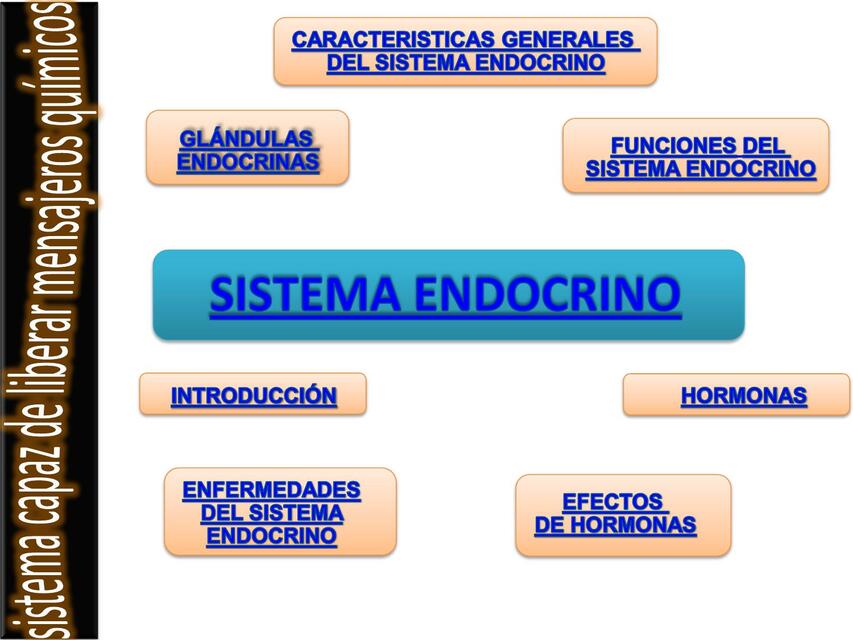 Sistema Endocrino PPT