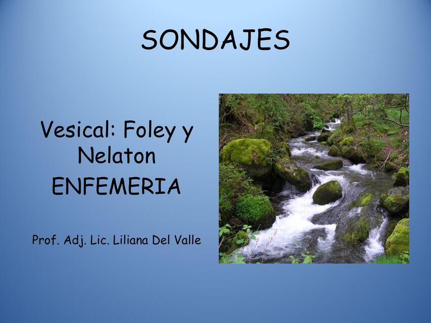 Sondaje Vesical