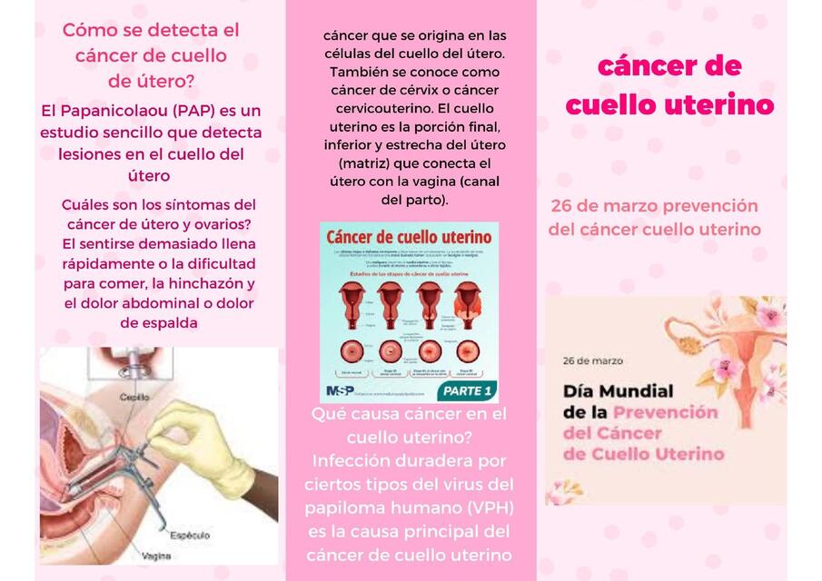 cáncer de cuello uterino