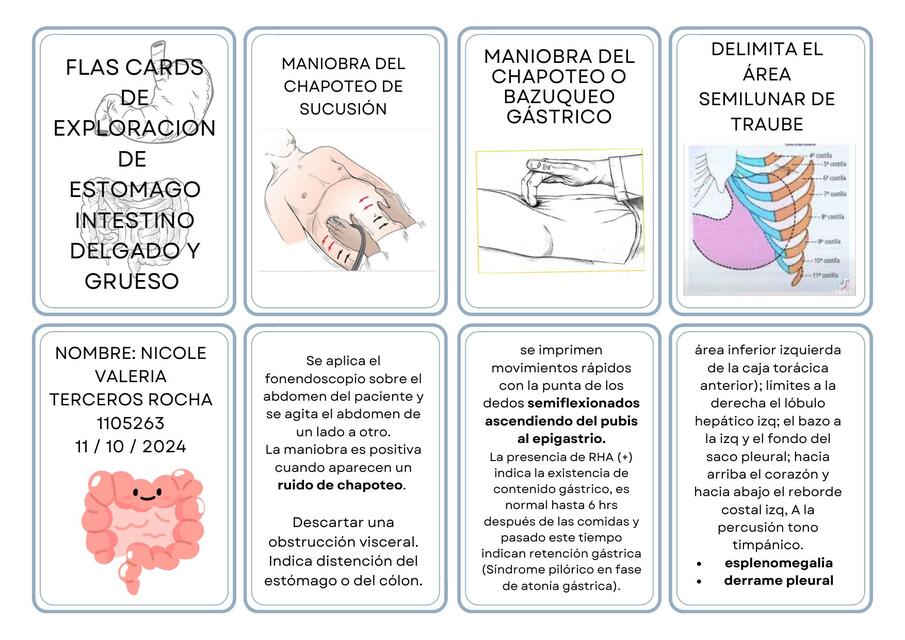 FLASHCARS DE ESTOMAGO INTESTINO DELGADO Y GRUESO