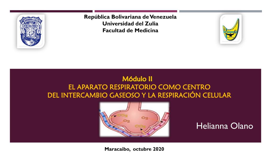 Sistema respiratorio 