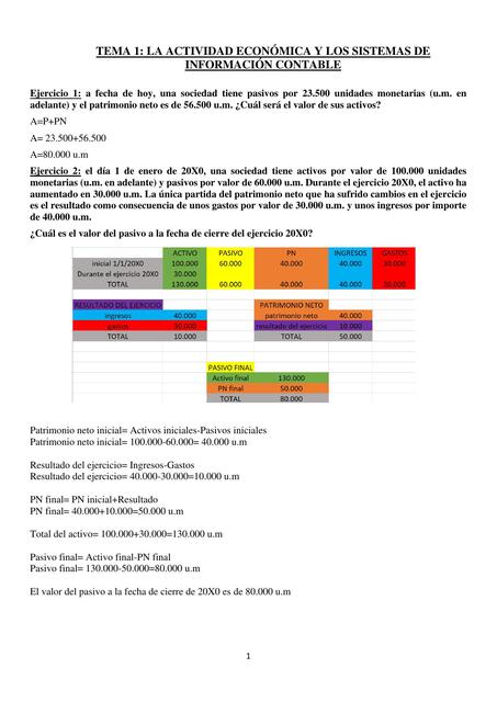 ejercicios resueltos T1 contabilidad