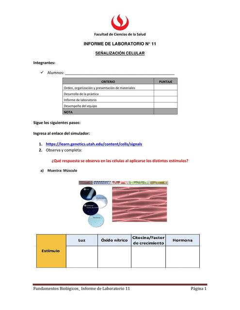 Informe lab Semana 11