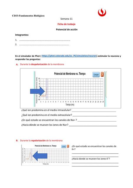 S11 Ficha de trabajo