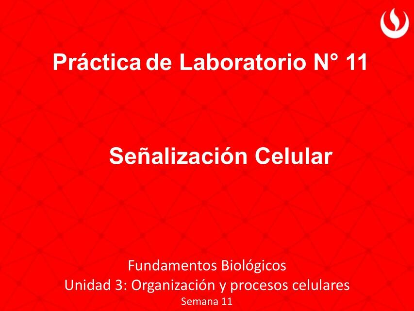 S1 Lab11 PPT 1