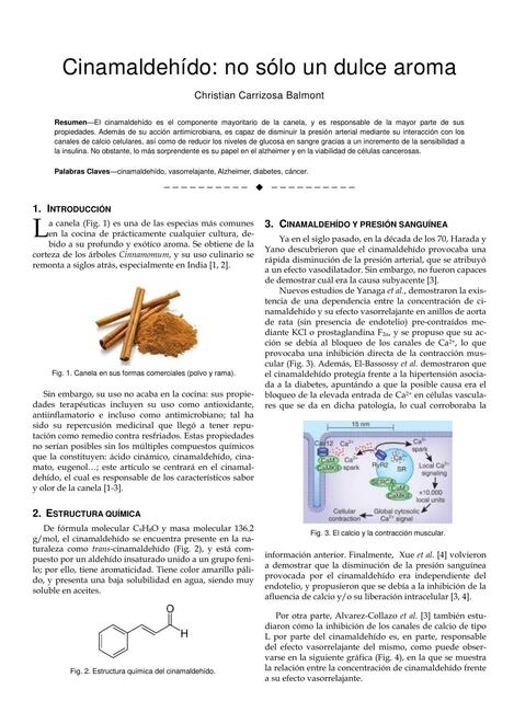 articulo destacado 3