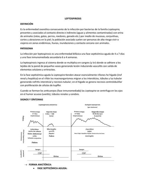 LEPTOSPIROSIS