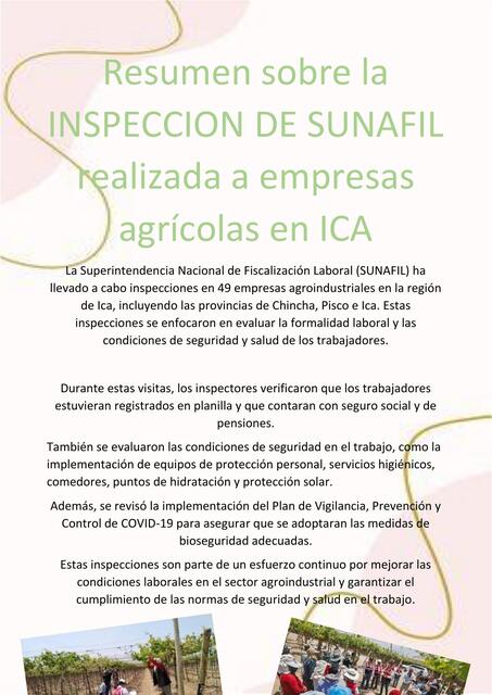 Resumen sobre la INSPECCION DE SUNAFIL realizada a