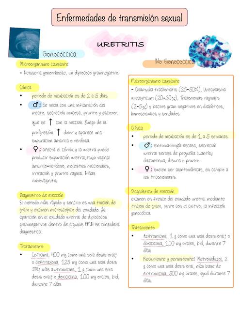 Resumen Enfermedades de Transmisión Sexual ETS urología