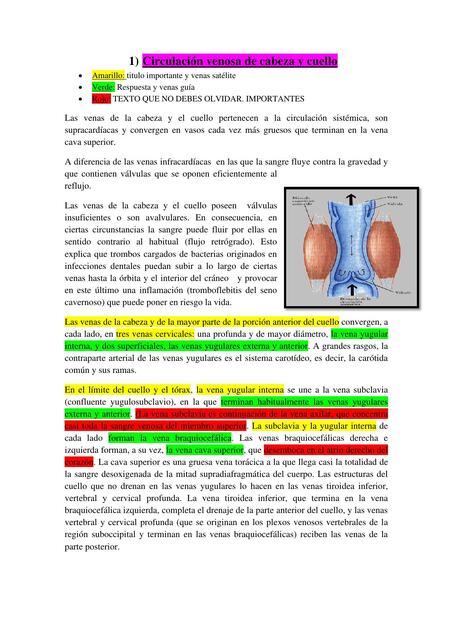 Circulación venosa de cabeza y cuello