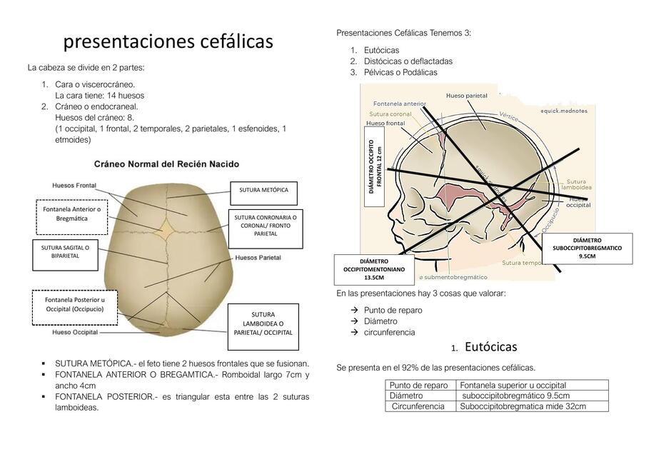 presentaciones cefálicas RESUMEN ANNIE TUPAYACHI