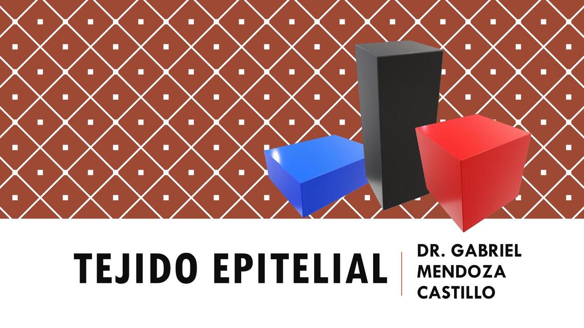 8 TEJIDO EPITELIAL 1