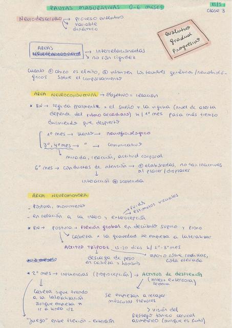 Neurodesarrollo de 0-6 Meses de Edad (Apuntes de Clase)